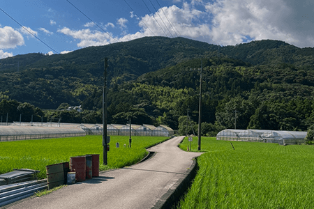 田舎でも光回線は使えますか？